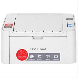奔图（PANTUM）P2508  ...