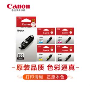 佳能(Canon）PGI850/C...